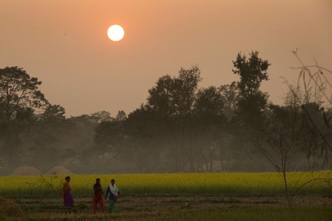 our-success-stories-what-we-ve-achieved-together-wwf